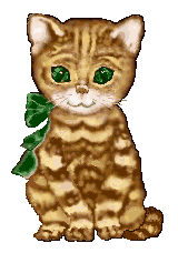 chat